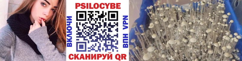 Галлюциногенные грибы Psilocybine cubensis  Купить  Уфа 